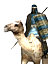NUMIDIAN CAMEL RIDERS.png