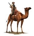 Shaturnal Camel Gunners .jpg