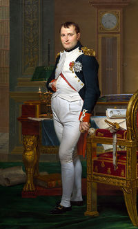 Napoleon in his study.jpg
