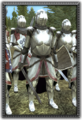 DM Polish Knights info.png