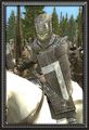 Norman knights info.jpg